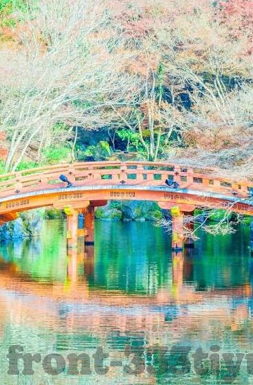 500万足球比分直播-揭秘500万足球比分直播，一场数据与激情的盛宴
