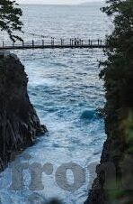 世界杯韩国对土耳其-韩国与土耳其，世界杯赛场上的激情碰撞