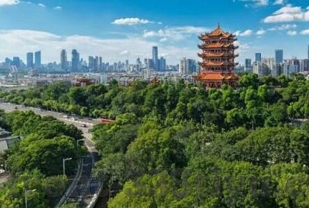 体彩足球比分分析-深度剖析体彩足球比分，数据背后的逻辑与预测艺术